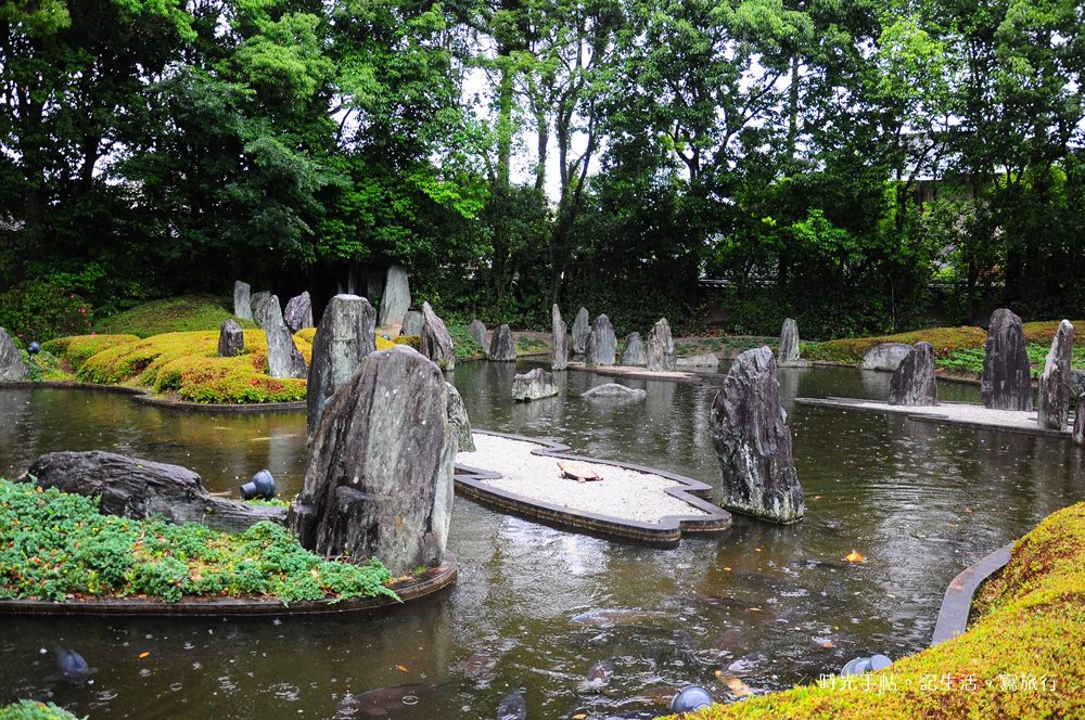 京都繡球花 松尾大社 初夏的紫陽花苑 時光手帖