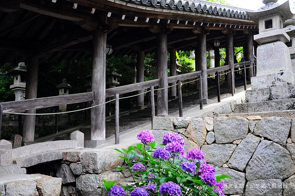 奈良繡球花 總本山長谷寺 登廊 新綠 紫陽花 時光手帖