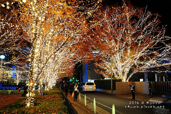 ROHM Illumination京都最大聖誕燈飾10