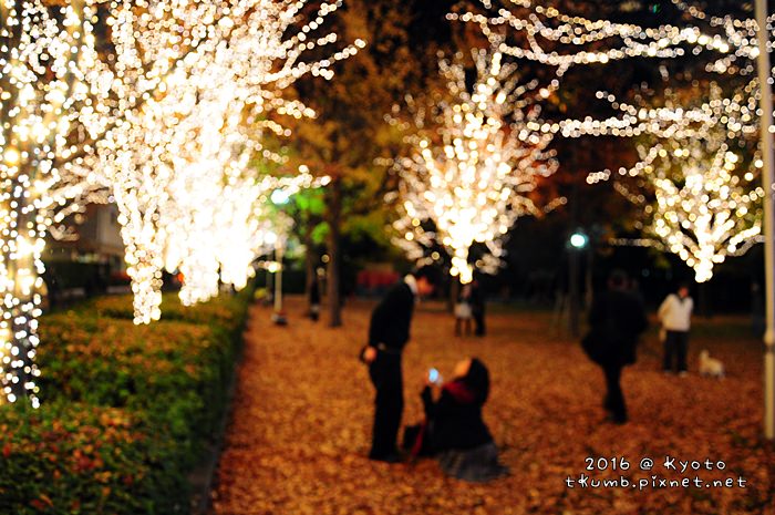ROHM Illumination京都最大聖誕燈飾12