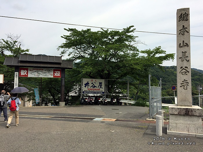 奈良繡球花 總本山長谷寺 登廊 新綠 紫陽花 時光手帖