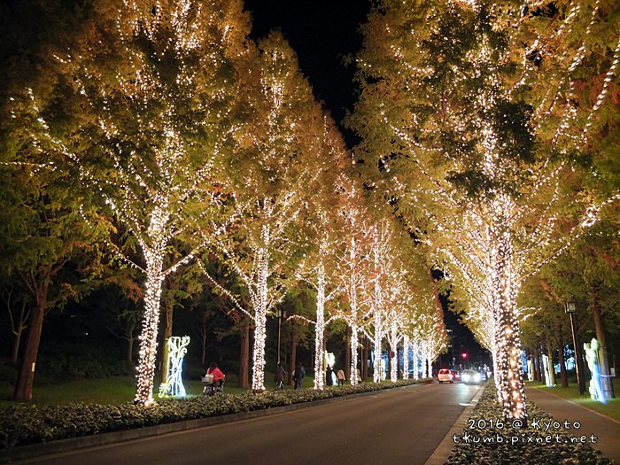 ROHM Illumination京都最大聖誕燈飾4