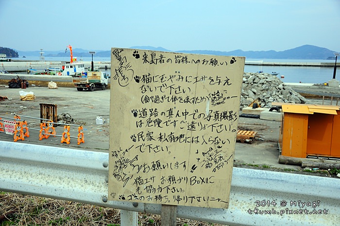 2014田代島25.jpg