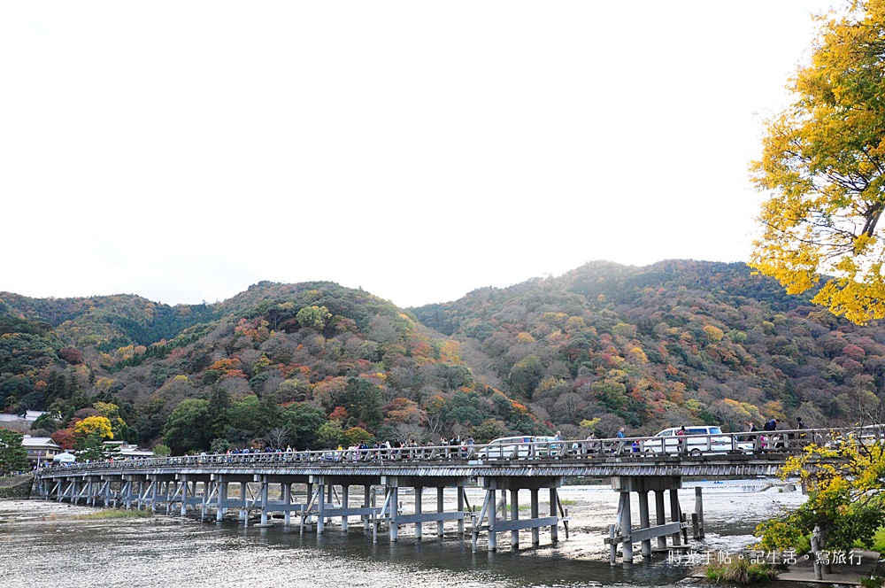 京都楓葉 渡月橋