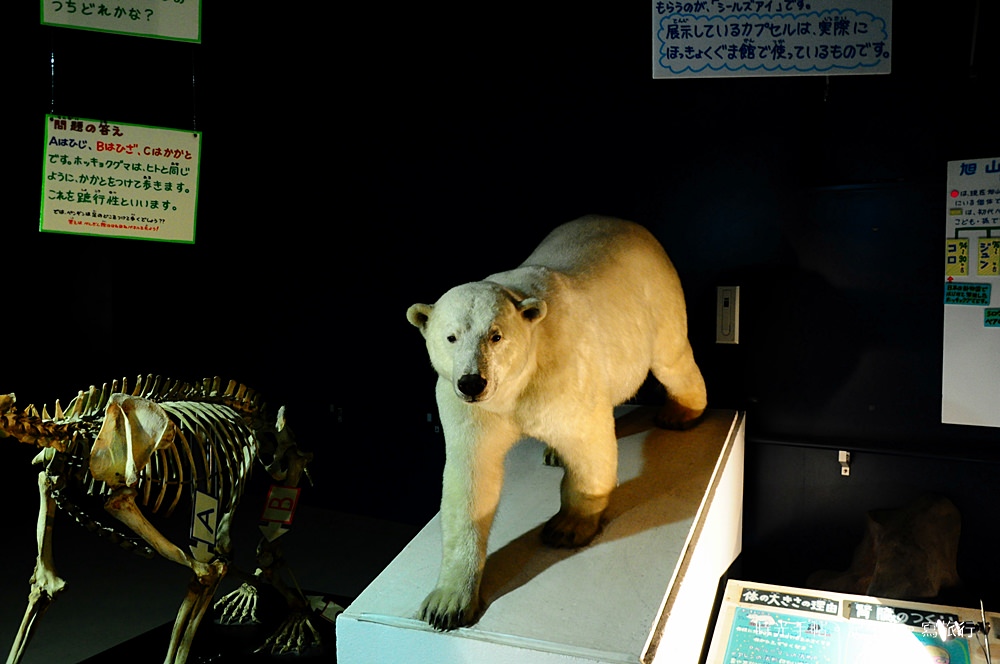 旭山動物園09