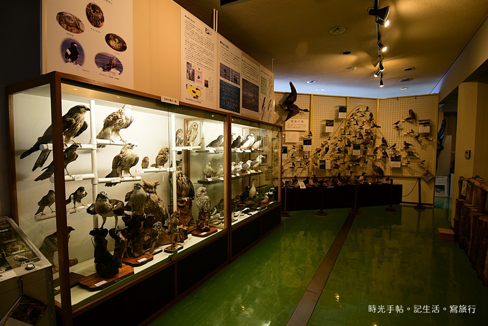 知床博物館11